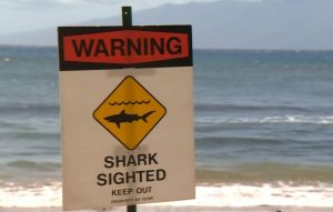 Aviso para presença de tubarão na ilha de Maui