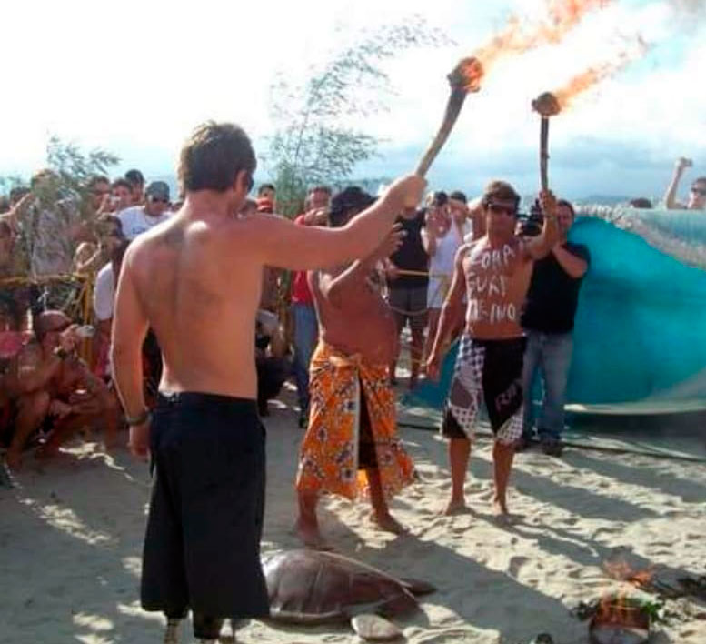 Festival Brasileiro de Remada em Santos