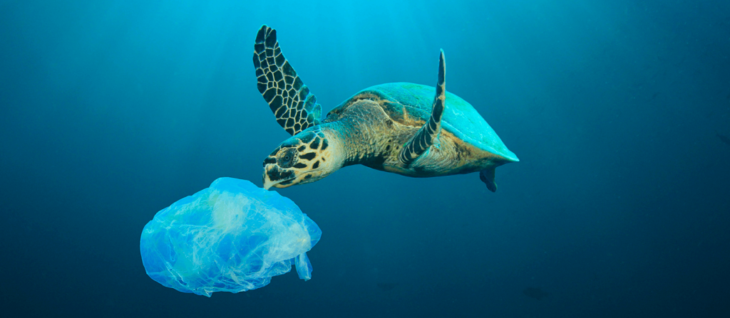 Quantidade de plástico no fundo do oceano é três vezes maior que na superfície HARDCORE