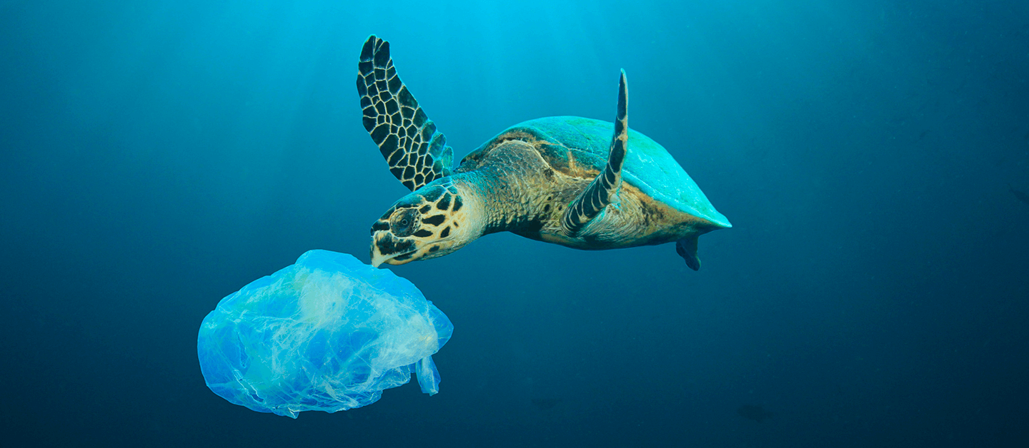 Plásticos nos oceanos pode quadruplicar até 2040