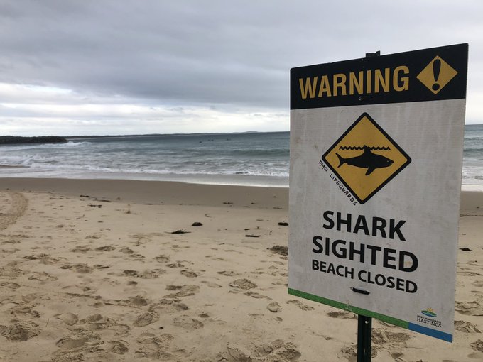ataque de tubarão Austrália