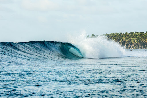 Surfista de Málaga morre nas Maldivas