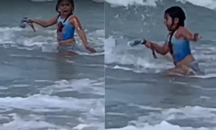 Vídeo: o encontro de tubarão e menina de 6 anos no Havaí