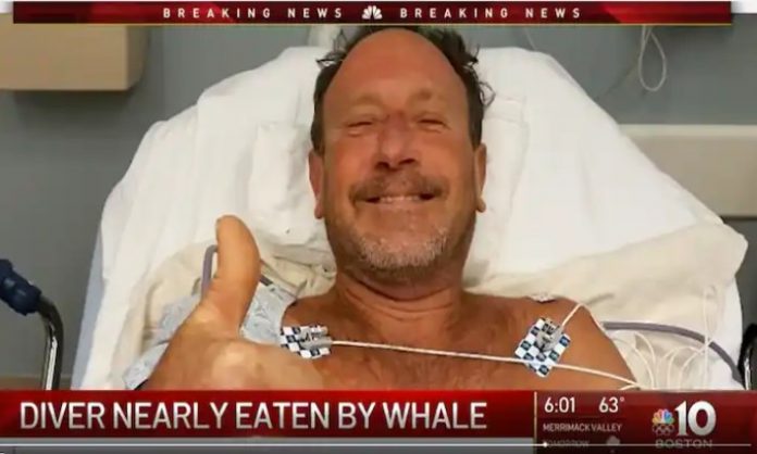 Pecador de lagostas sobreviveu após ser engolido e 'cuspido' por baleia, nos EUA