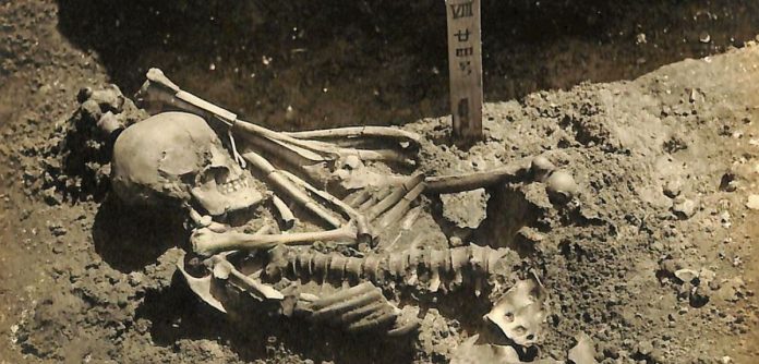 Pesquisadores da Universidade de Oxford descobriram possível vítima de ataque de tubarão mais antiga do mundo: de 3 mil anos atrás