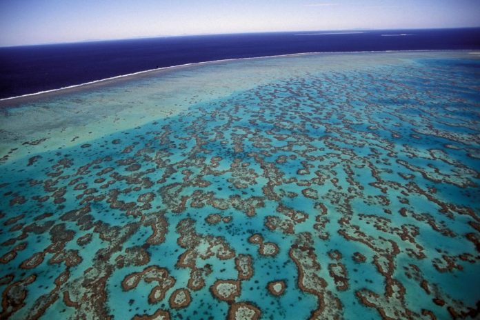 grande-barreira-de-corais