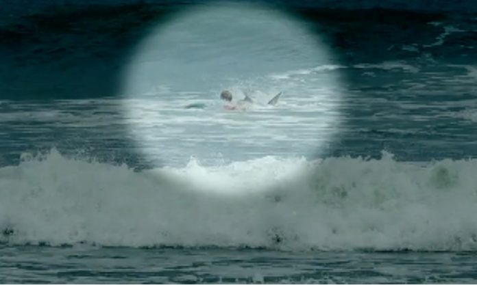 Ataque tubarão surfista Flórida