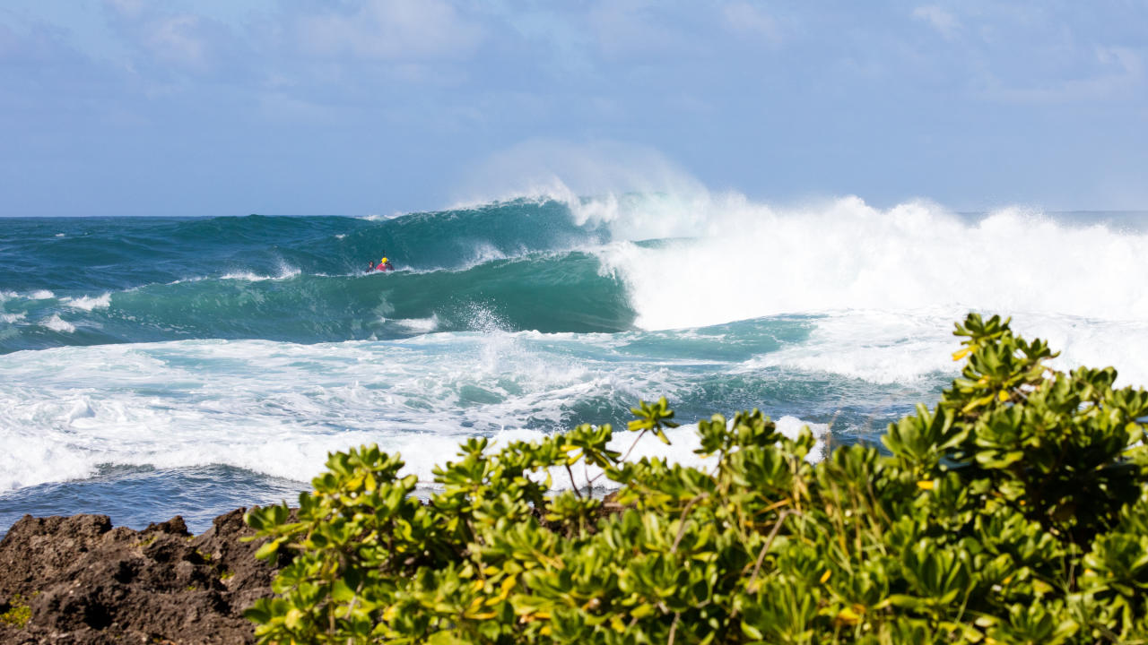 Haleiwa Challenger ao vivo SURF HARDCORE