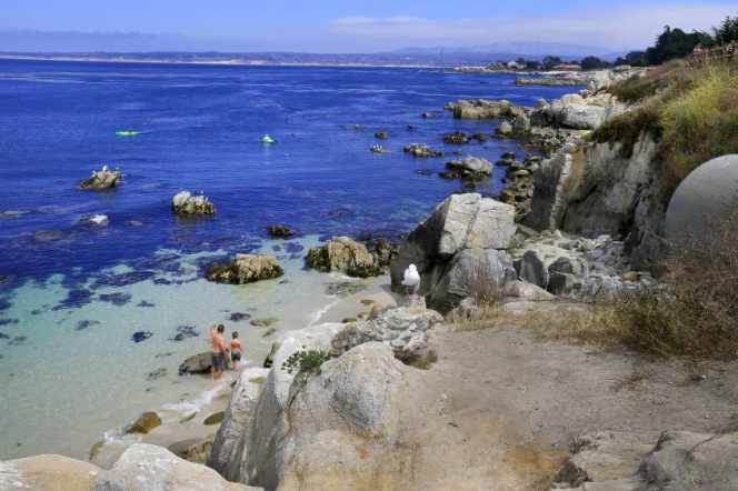 Homem sofre grave ataque de tubarão em Monterey Bay, na Califórnia, na manhã da quarta-feira 22/6. Confira