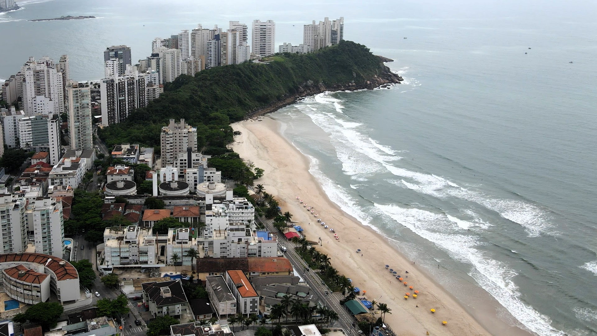 CBSurf Rip Curl Grom Search